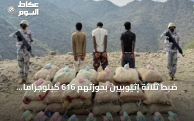 ضبط ثلاثة إثيوبيين بحوزتهم 616 كيلوجراماً من القات في عسير