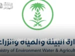 وزارة البيئة والمياه والزراعة تعلن عن ضوابط تنظيمية لتجارة الإبل