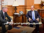 القاهرة ترسّخ موقفها الداعم لأمن البحر الأحمر وحرية الملاحة الدولية