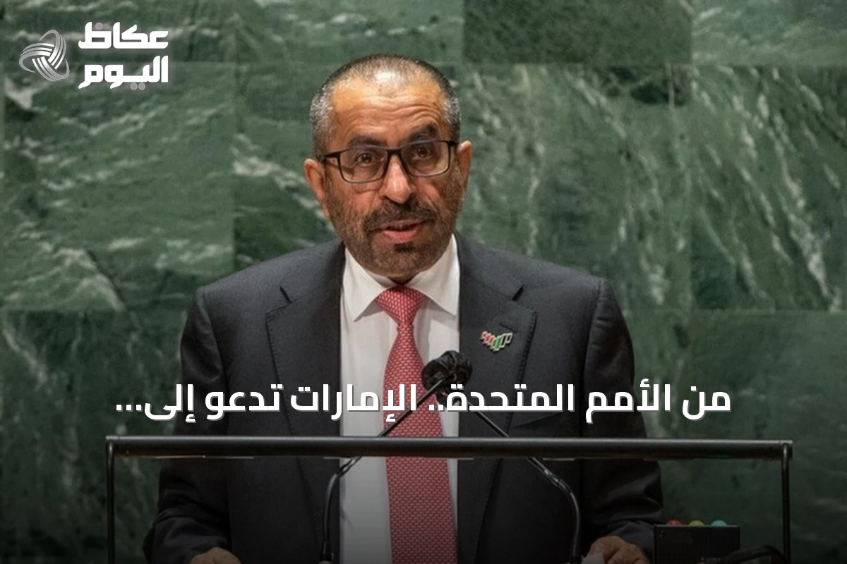 من الأمم المتحدة.. الإمارات تدعو إلى تهدئة المنطقة وإنهاء الصراع السوداني