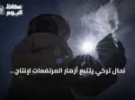 نحال تركي يتتبع أزهار المرتفعات لإنتاج عسل عضوي بجودة عالية