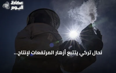 نحال تركي يتتبع أزهار المرتفعات لإنتاج عسل عضوي بجودة عالية