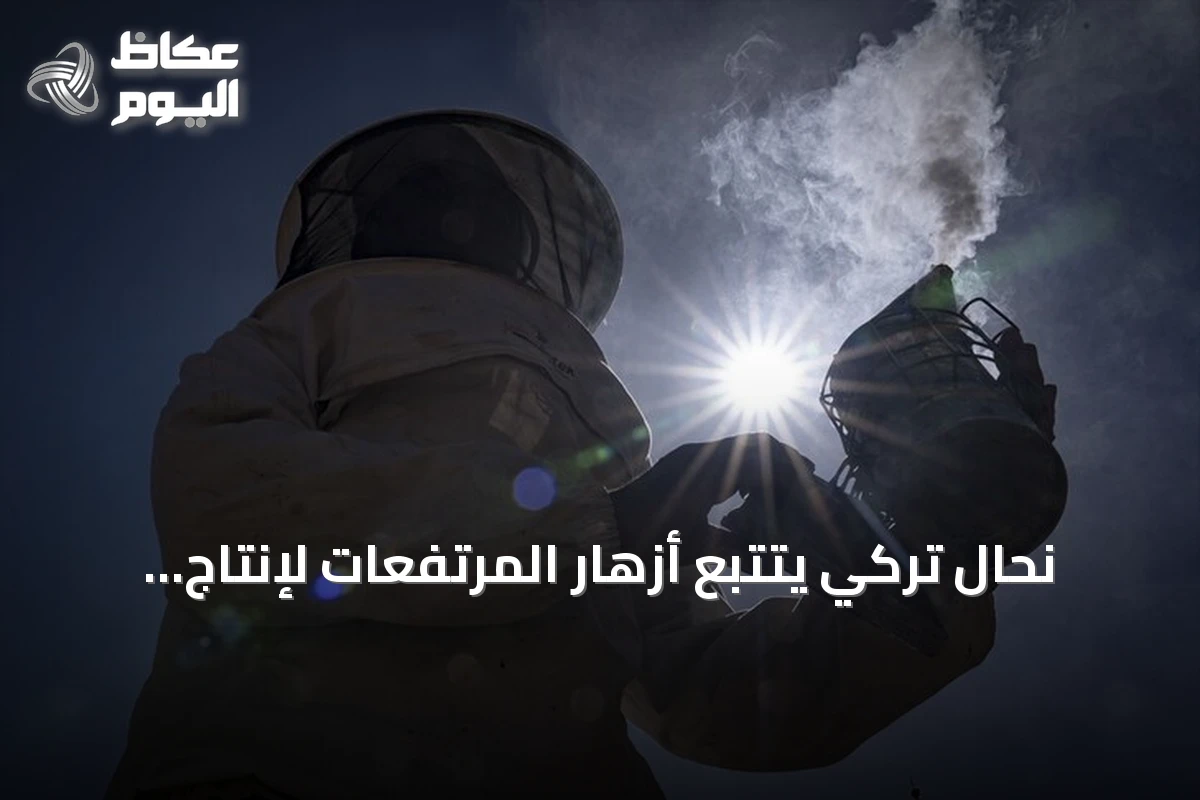 نحال تركي يتتبع أزهار المرتفعات لإنتاج عسل عضوي بجودة عالية