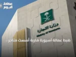 ضبط عمالة آسيوية هاربة أسست متاجر إلكترونية بعد تدريب غير نظامي بالرياض