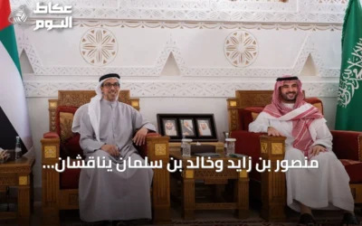 منصور بن زايد وخالد بن سلمان يناقشان تعزيز العلاقات الإماراتية السعودية