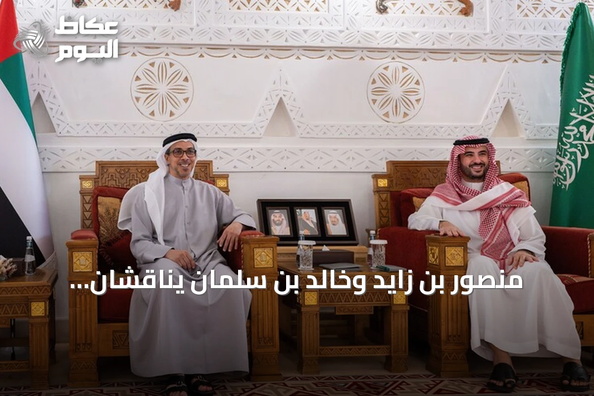 منصور بن زايد وخالد بن سلمان يناقشان تعزيز العلاقات الإماراتية السعودية