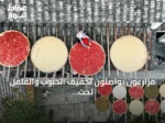 مزارعون يواصلون تجفيف الحبوب والفلفل تحت أشعة الشمس الخريفية