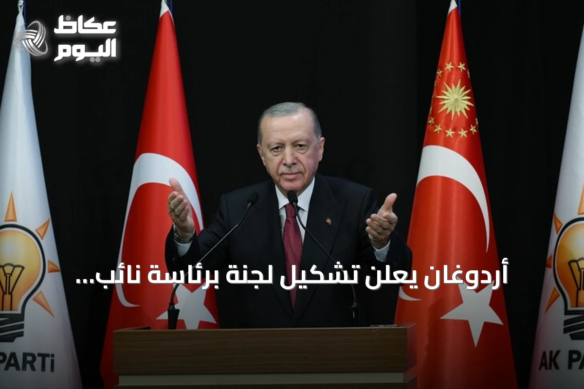 أردوغان يعلن تشكيل لجنة برئاسة نائب الرئيس لتصفية صناديق الاستثمار