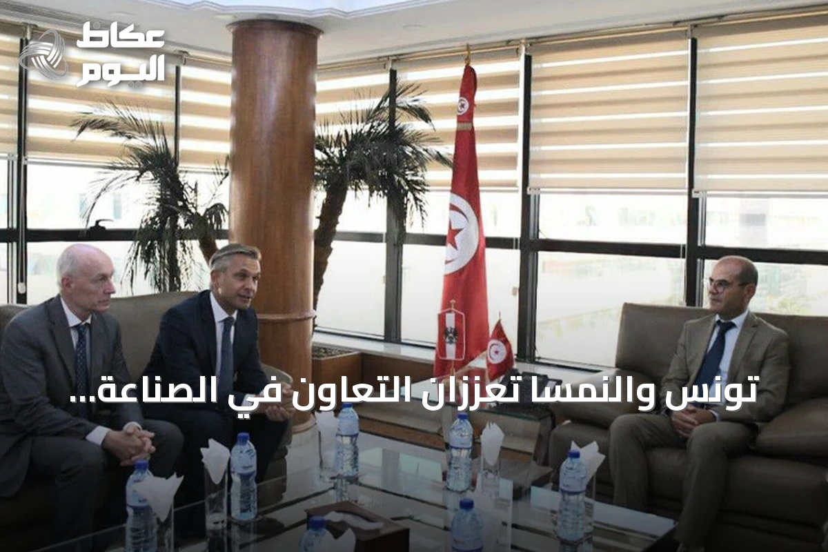 تونس والنمسا تعززان التعاون في الصناعة والطاقة