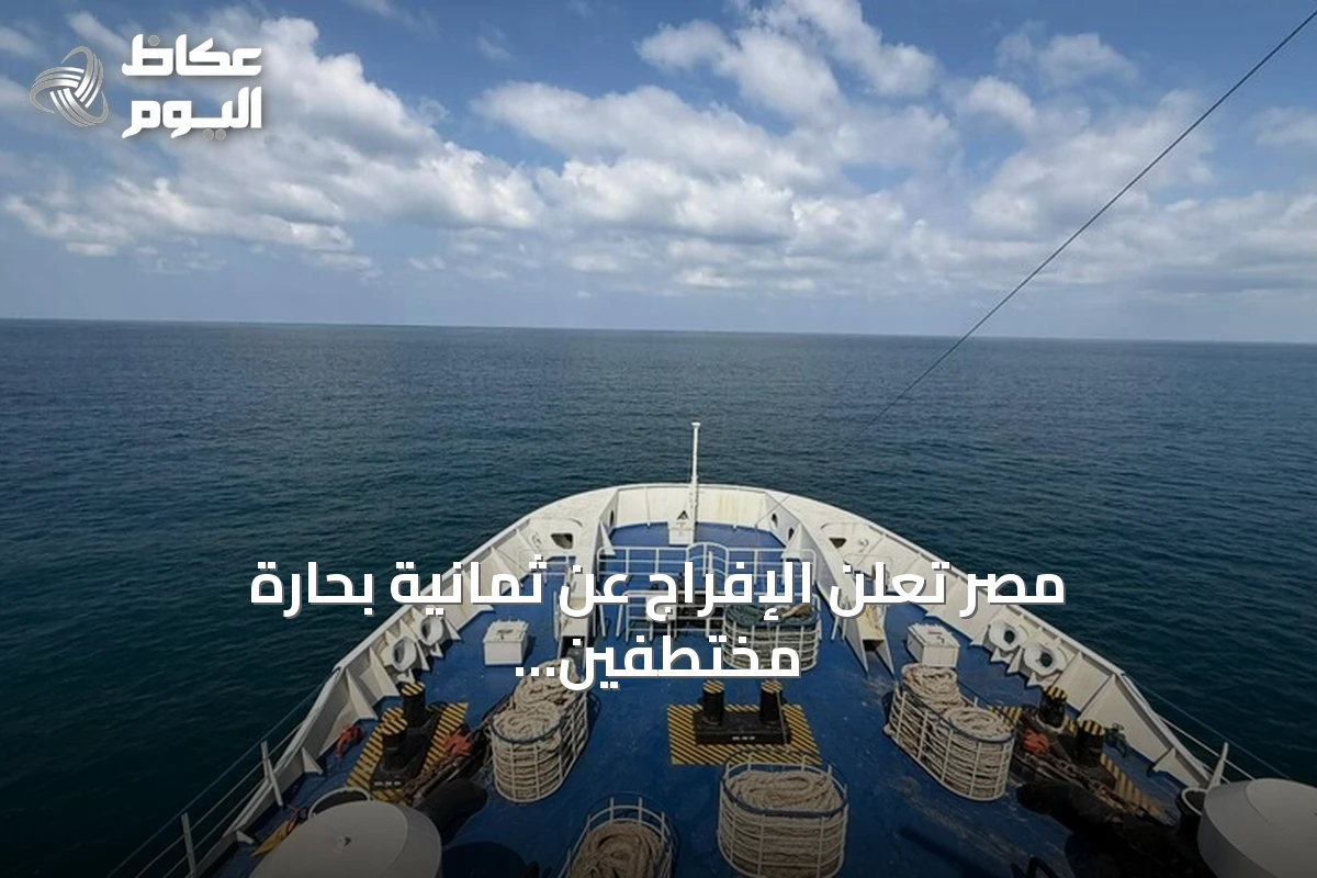 مصر تعلن الإفراج عن ثمانية بحارة مختطفين قبالة سواحل الصومال بعد جهود دبلوماسية