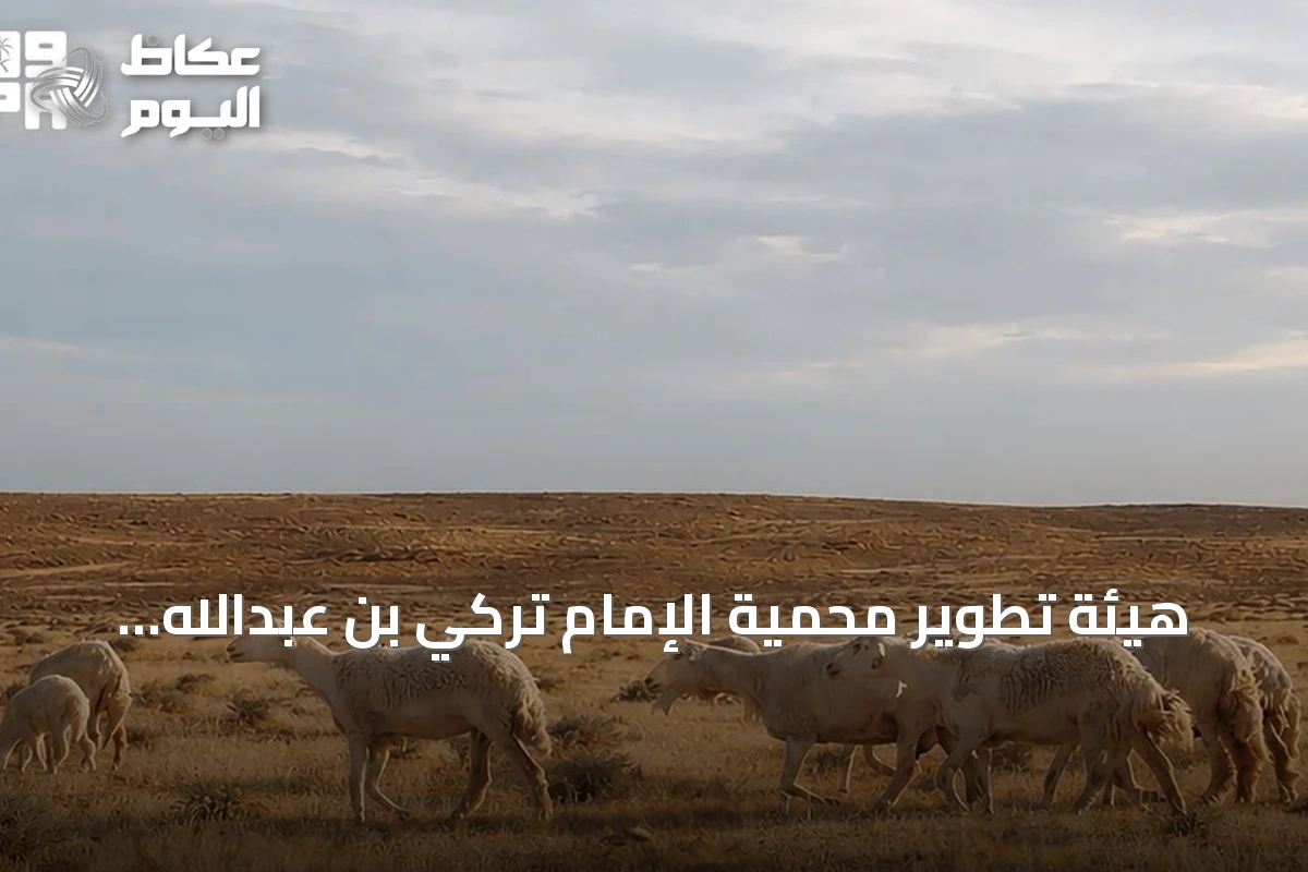 هيئة تطوير محمية الإمام تركي بن عبدالله تنهي المرحلة الثالثة من برنامج الرعي الموسمي 2026