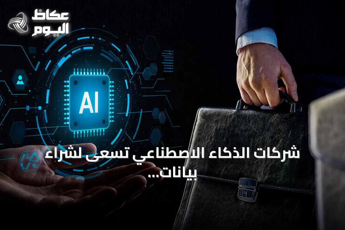 شركات الذكاء الاصطناعي تسعى لشراء بيانات شركات مفلسة.. حالة «سبيريت إيرلاينز»