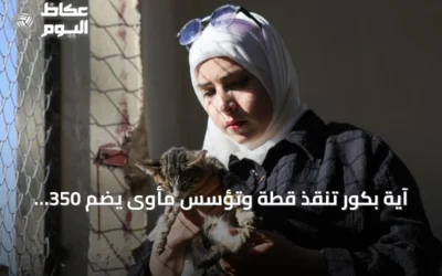 آية بكور تنقذ قطة وتؤسس مأوى يضم 350 حيواناً في حمص