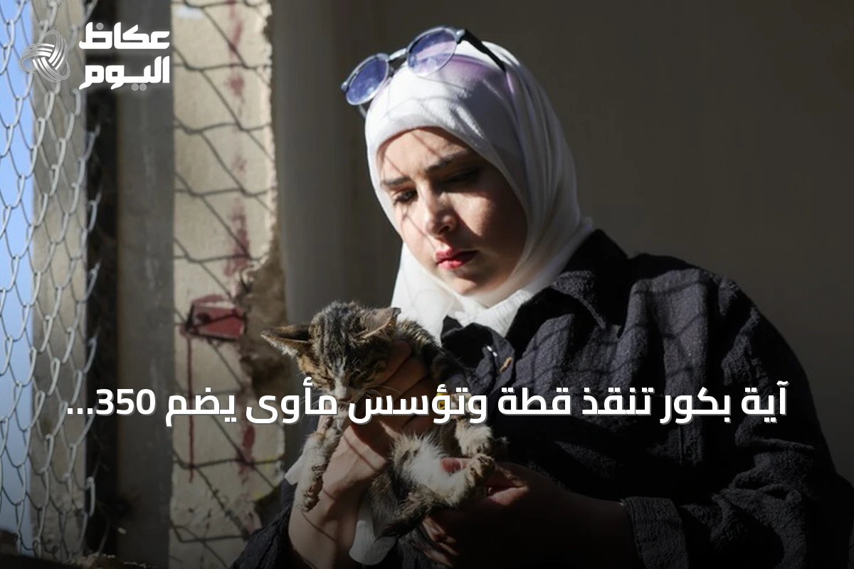 آية بكور تنقذ قطة وتؤسس مأوى يضم 350 حيواناً في حمص