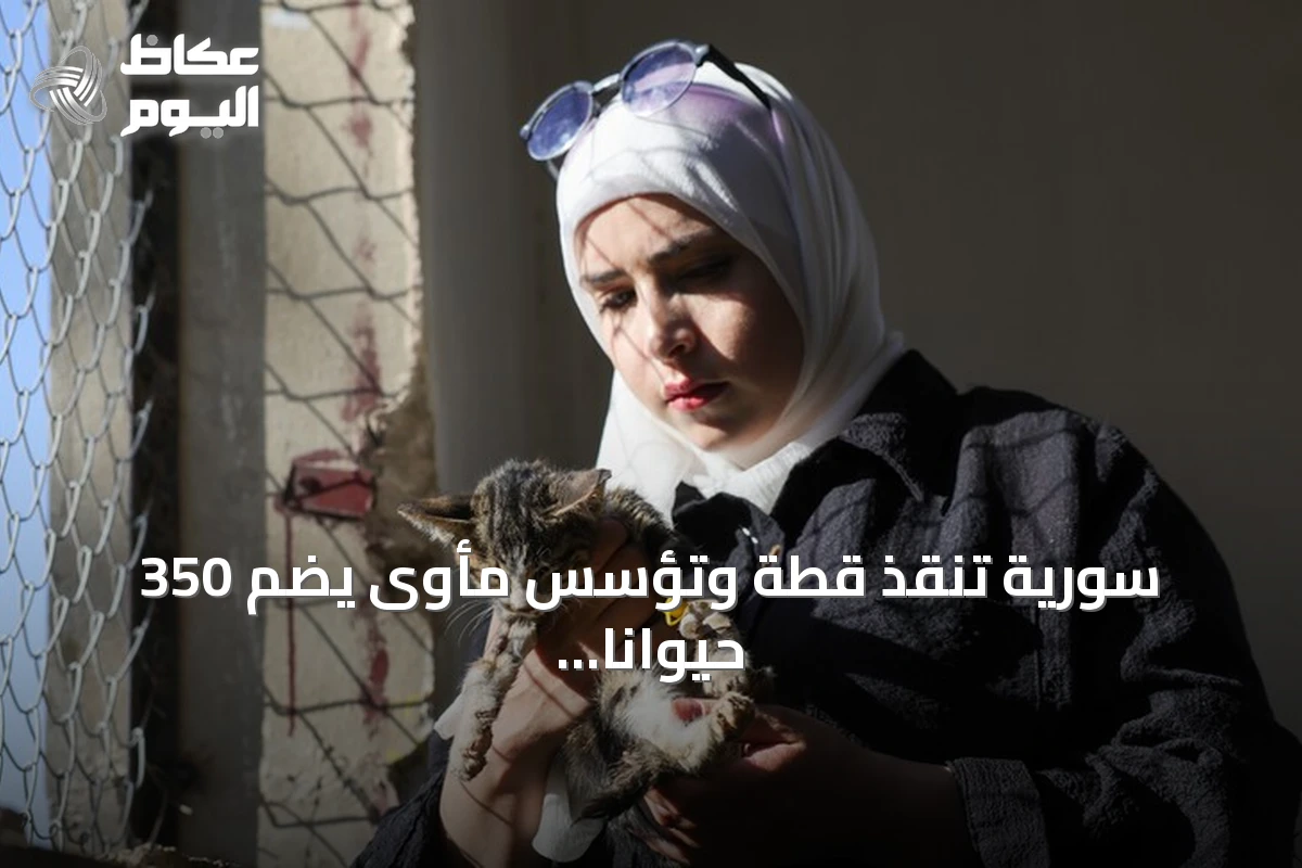 سورية تنقذ قطة وتؤسس مأوى يضم 350 حيوانا في حمص