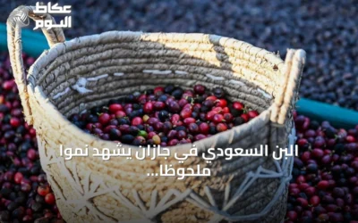 البن السعودي في جازان يشهد نمواً ملحوظاً بدعم الاستثمارات وبرامج التمويل