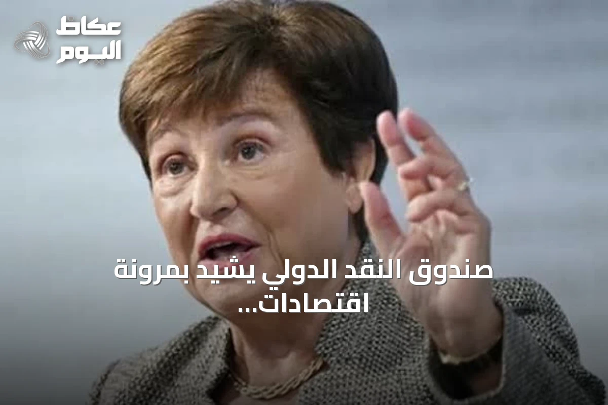 صندوق النقد الدولي يشيد بمرونة اقتصادات الخليج بعد تنويع الاستثمارات