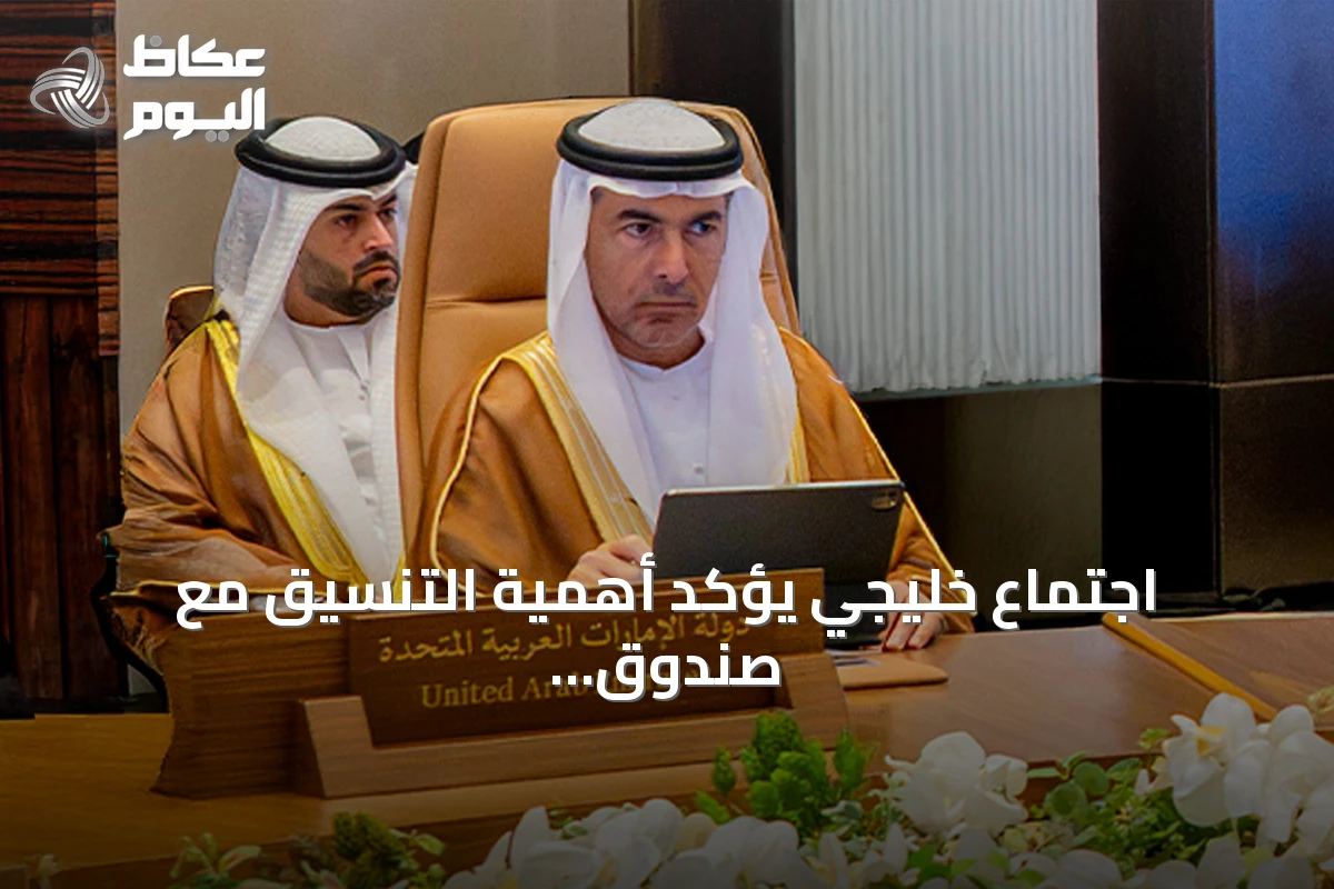 اجتماع خليجي يؤكد أهمية التنسيق مع صندوق النقد الدولي لتعزيز الاستقرار المالي