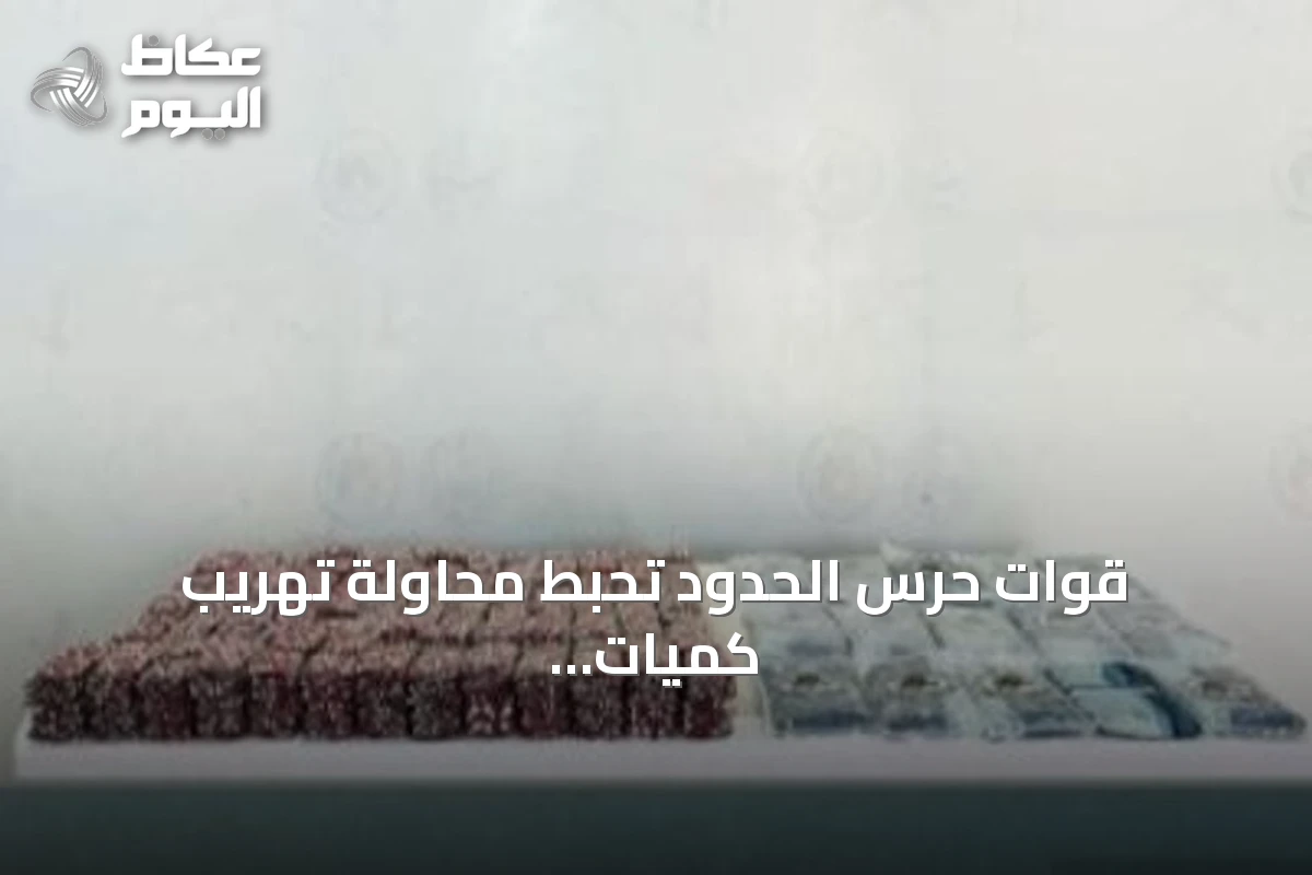 قوات حرس الحدود تحبط محاولة تهريب كميات ضخمة من الحبوب والحشيش بمنطقة جازان