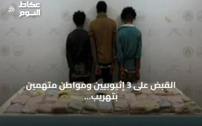 القبض على 3 إثيوبيين ومواطن متهمين بتهريب الحشيش والقات في عسير وجازان