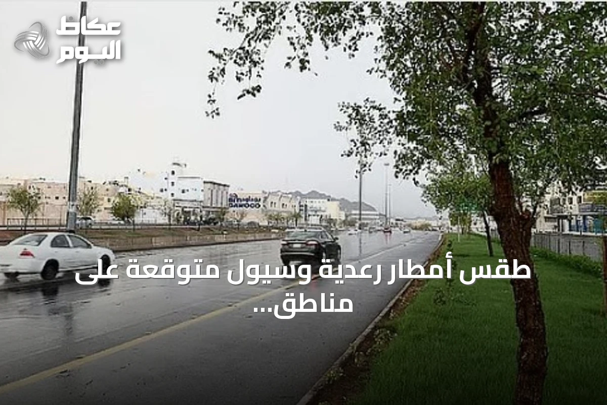 طقس أمطار رعدية وسيول متوقعة على مناطق متعددة بالمملكة