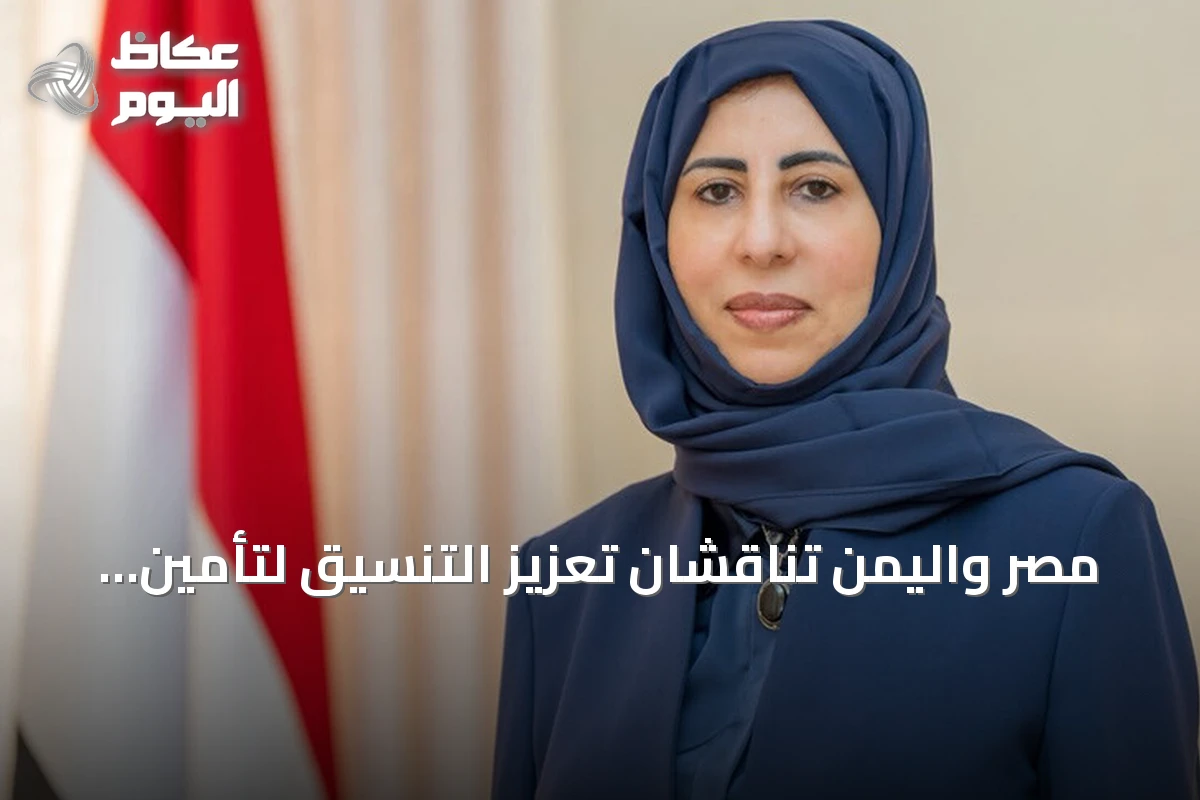مصر واليمن تناقشان تعزيز التنسيق لتأمين الملاحة في باب المندب