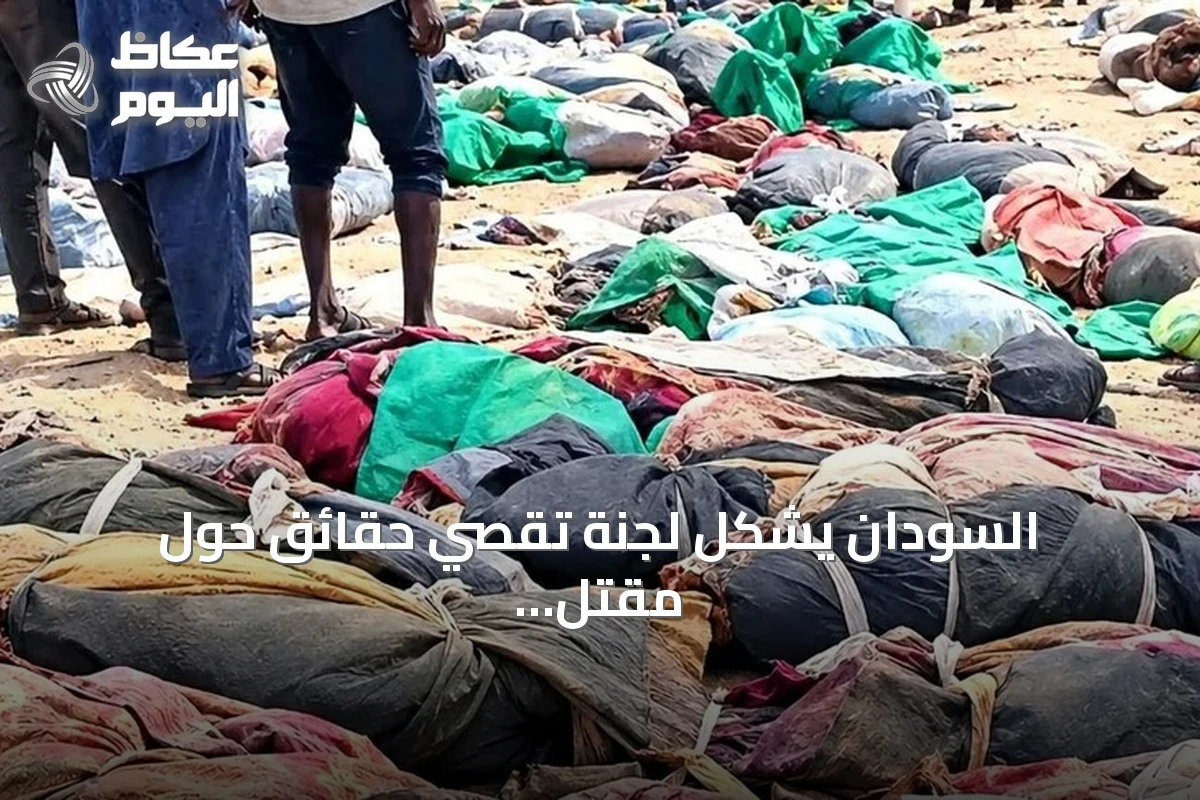 السودان يشكل لجنة تقصي حقائق حول مقتل عمال تعدين على الحدود مع مصر