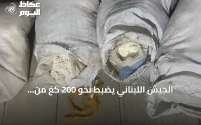 الجيش اللبناني يضبط نحو 200 كغ من المتفجرات على الحدود مع سوريا