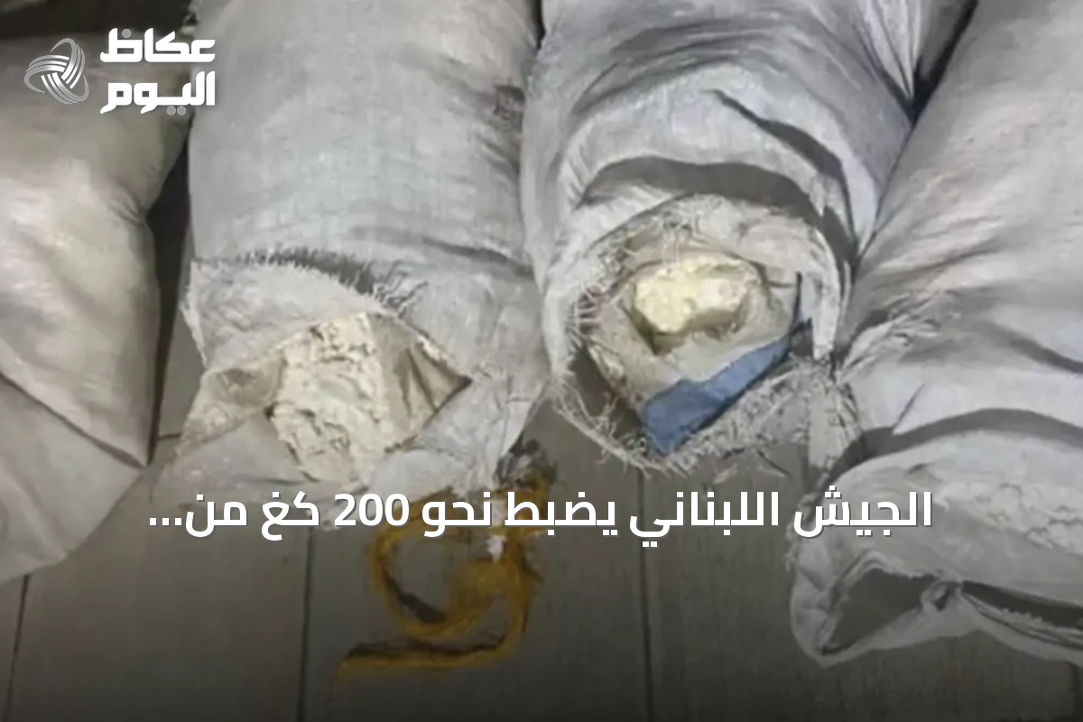 الجيش اللبناني يضبط نحو 200 كغ من المتفجرات على الحدود مع سوريا
