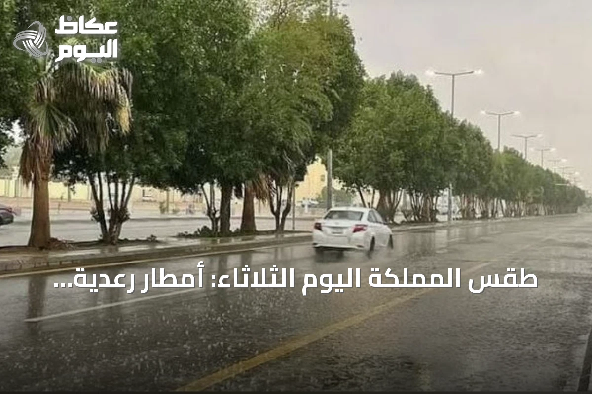 طقس المملكة اليوم الثلاثاء: أمطار رعدية غزيرة مع برد ورياح نشطة وتقلبات بحرية