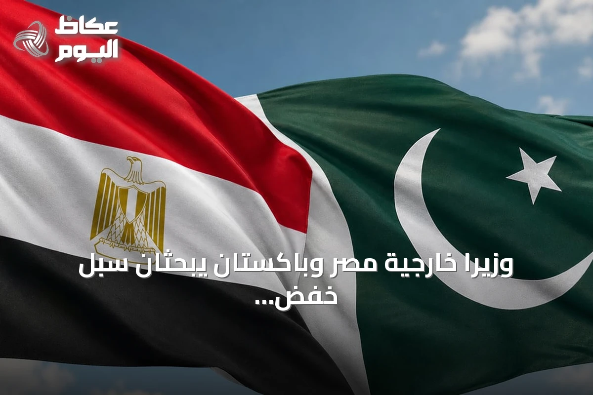 وزيرا خارجية مصر وباكستان يبحثان سبل خفض التصعيد وتعزيز الاستقرار الإقليمي