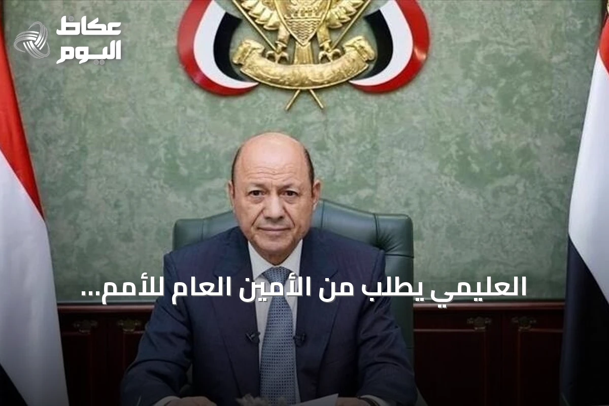 العليمي يطلب من الأمين العام للأمم المتحدة دعم تصنيف الحوثيين “منظمة إرهابية”