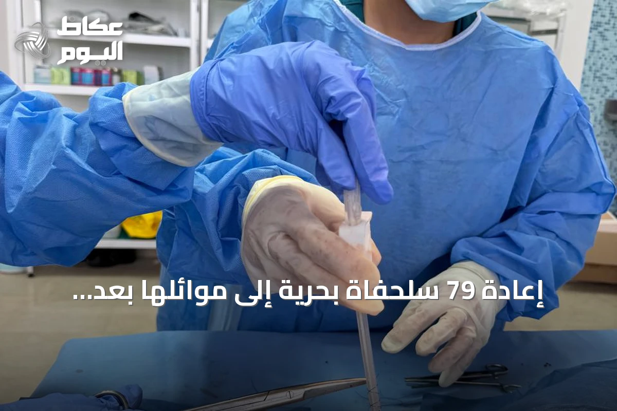 إعادة 79 سلحفاة بحرية إلى موائلها بعد علاجها وتأهيلها في البحر الأحمر