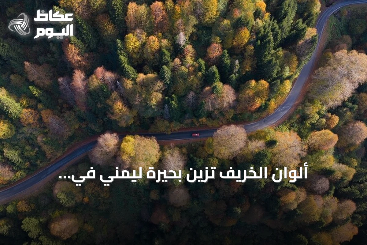 ألوان الخريف تزين بحيرة ليمنّي في غوموشهانة التركية