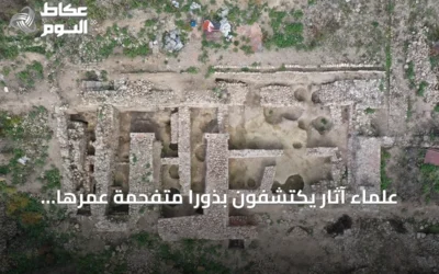 علماء آثار يكتشفون بذوراً متفحمة عمرها 2600 عام في مطبخ ليديا بغرب تركيا