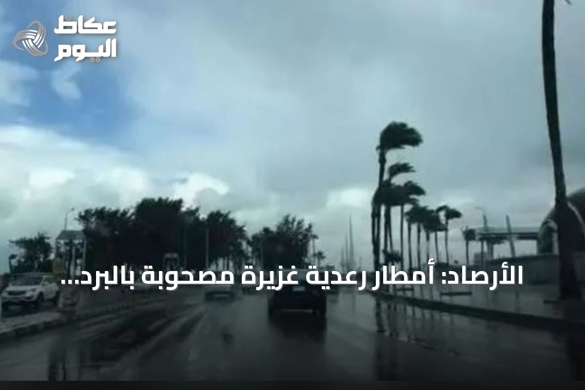 الأرصاد: أمطار رعدية غزيرة مصحوبة بالبرد على 4 مناطق وضباب بالشرقية