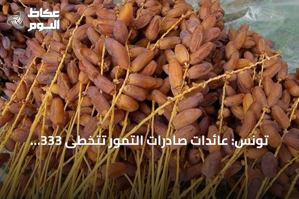 تونس: عائدات صادرات التمور تتخطى 333 مليون دولار في موسم 2025-2026