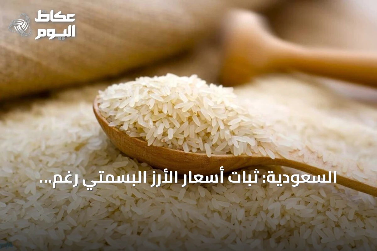 السعودية: ثبات أسعار الأرز البسمتي رغم ضغوط الإمداد العالمية