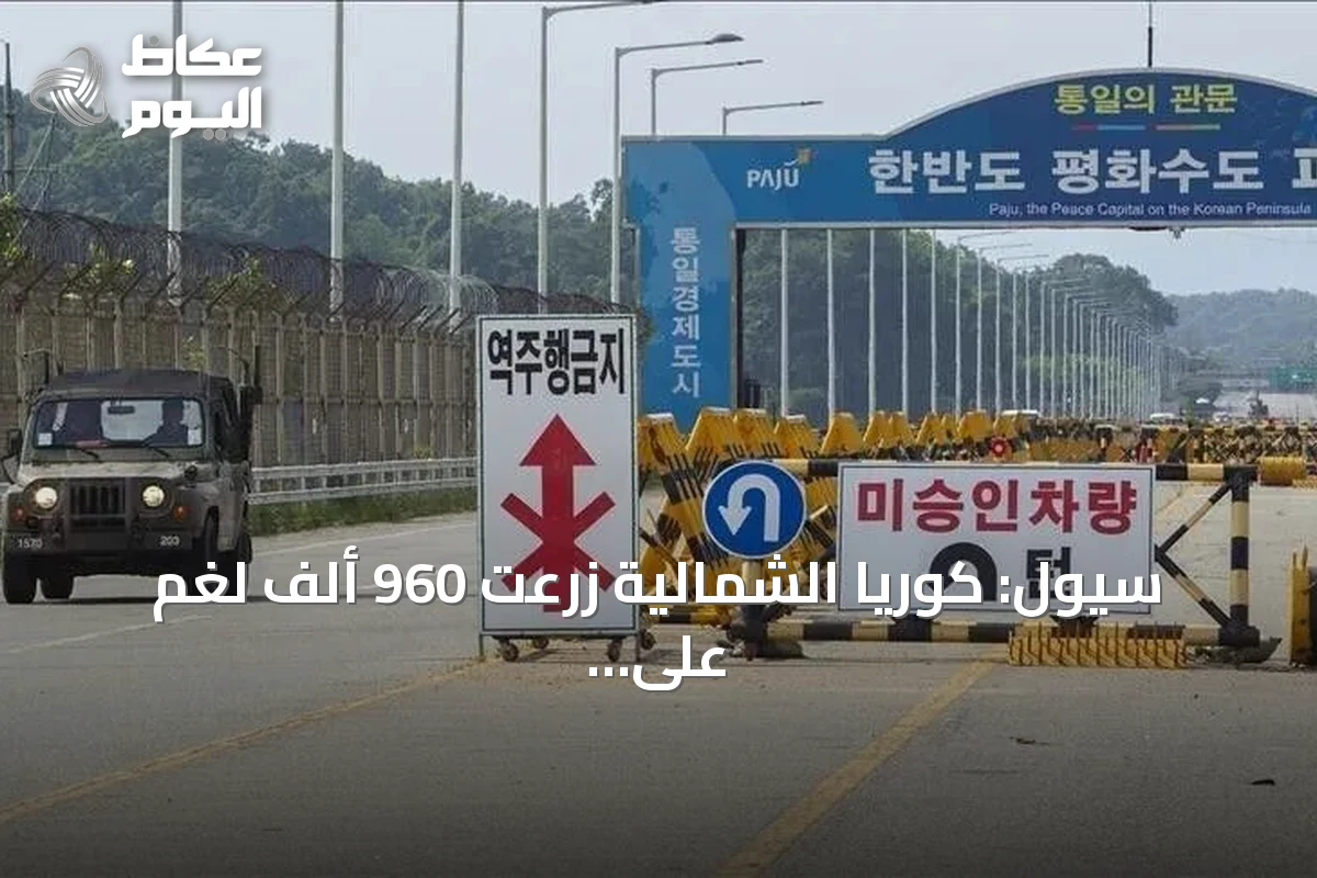 سيول: كوريا الشمالية زرعت 960 ألف لغم على الحدود منذ 2024