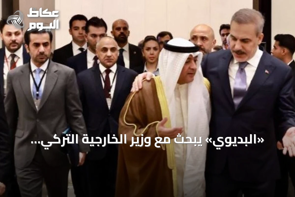 «البديوي» يبحث مع وزير الخارجية التركي العلاقات الثنائية والتطورات الإقليمية