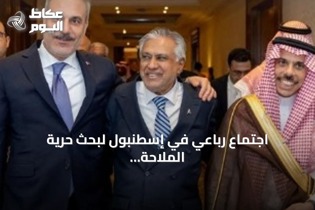 اجتماع رباعي في إسطنبول لبحث حرية الملاحة والتطورات في اليمن والحرب الإيرانية الأميركية