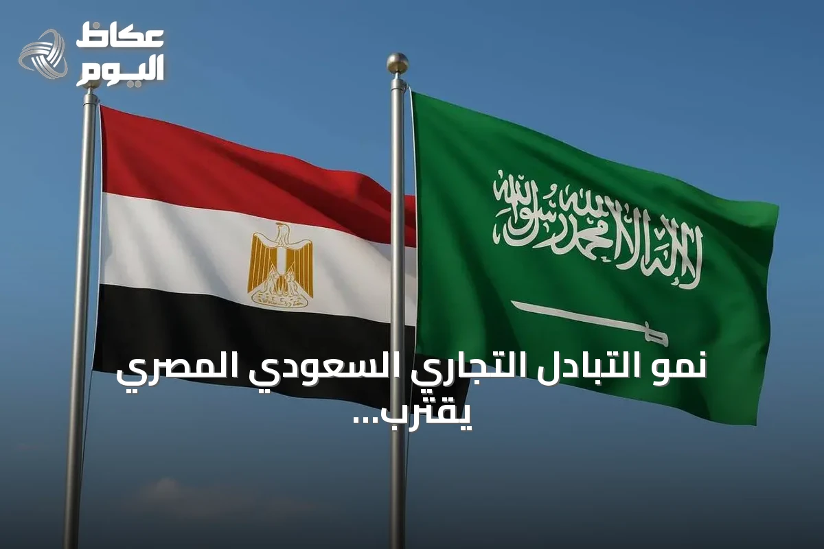 نمو التبادل التجاري السعودي المصري يقترب من ثلاثة أضعاف خلال عشر سنوات