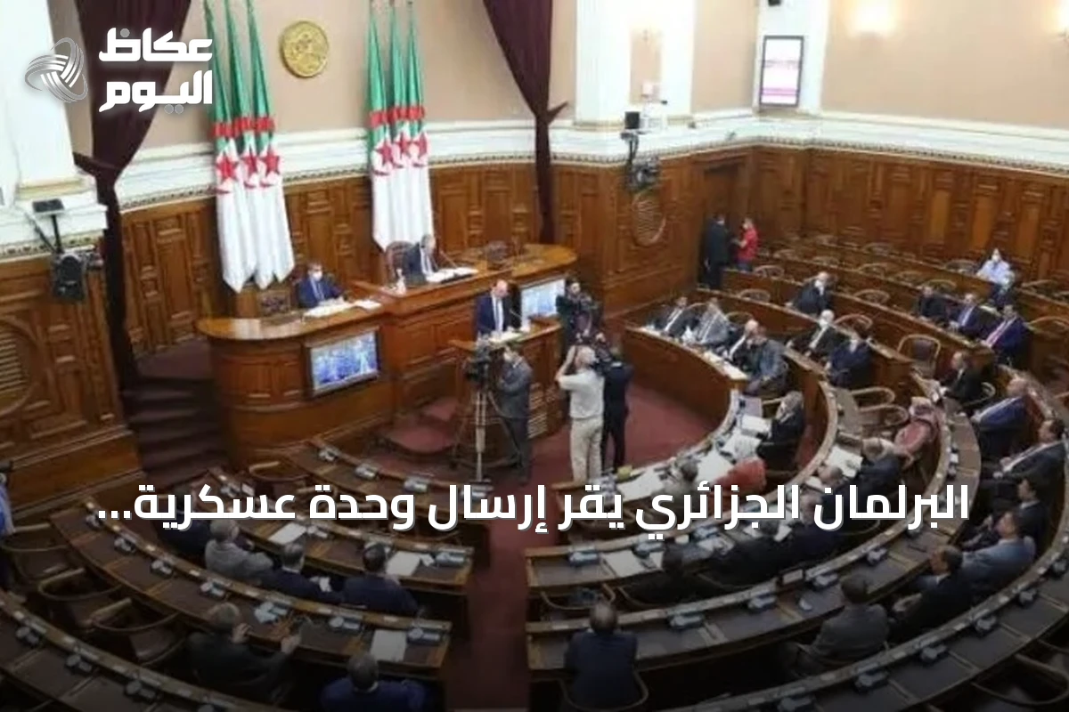 البرلمان الجزائري يُقر إرسال وحدة عسكرية إلى النيجر لحماية استثمارات نفطية