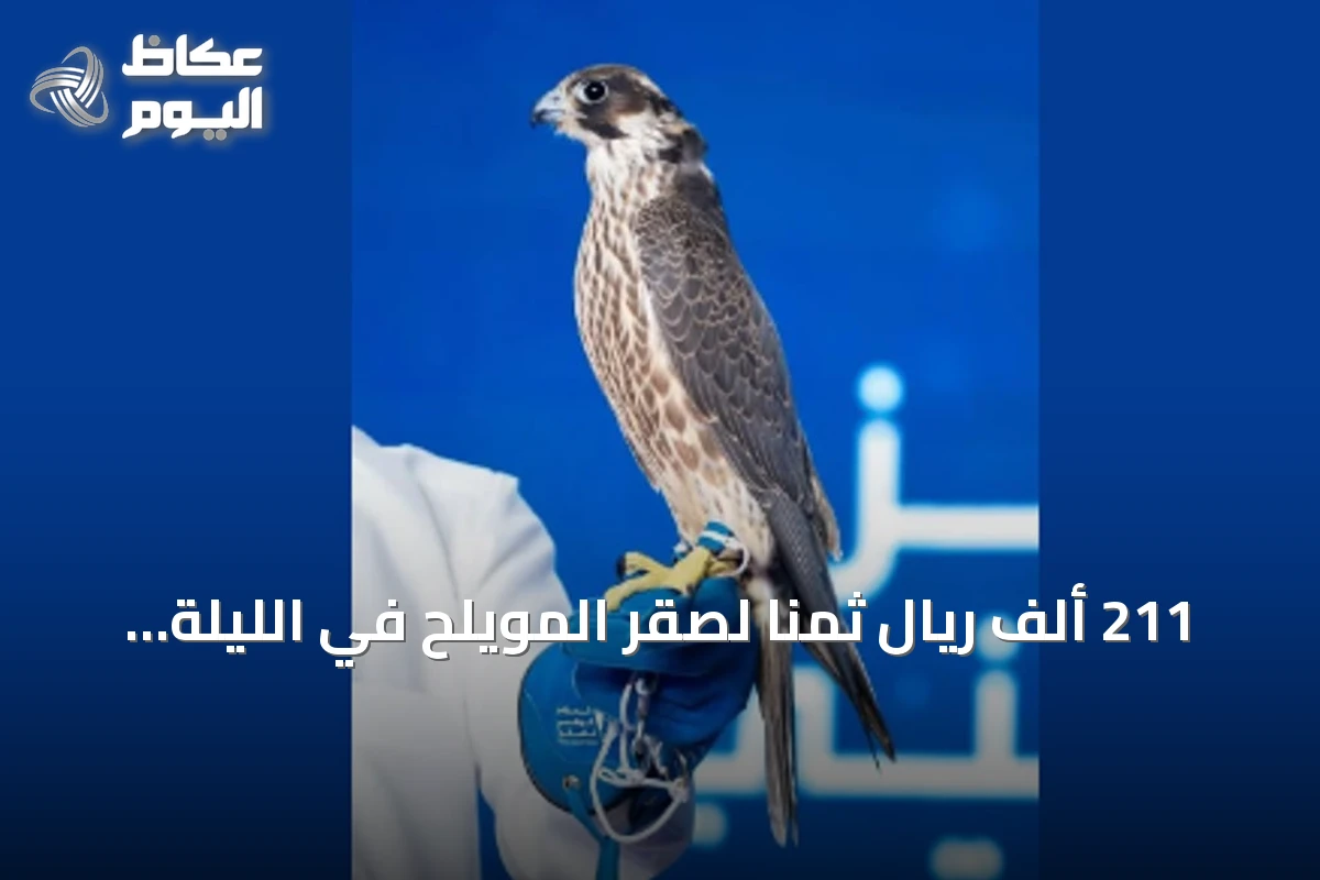 211 ألف ريال ثمناً لصقر المويلح في الليلة التاسعة لمزاد المركز الوطني للصقور 2026