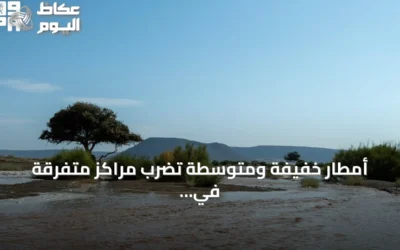 أمطار خفيفة ومتوسطة تضرب مراكز متفرقة في منطقة تبوك