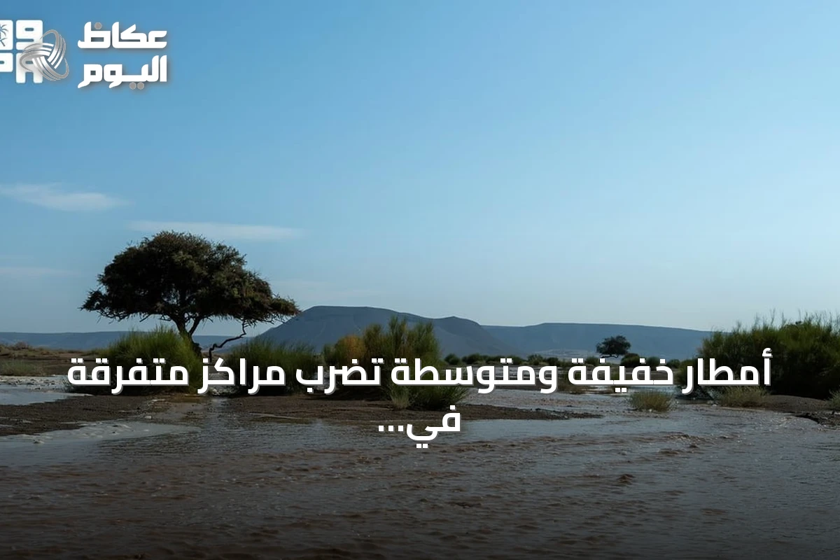 أمطار خفيفة ومتوسطة تضرب مراكز متفرقة في منطقة تبوك