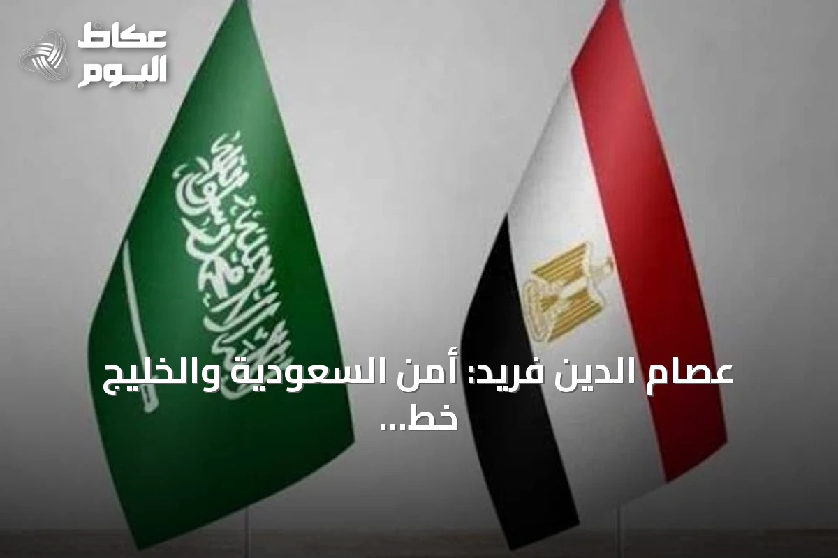 عصام الدين فريد: أمن السعودية والخليج خط أحمر في الأمن القومي المصري