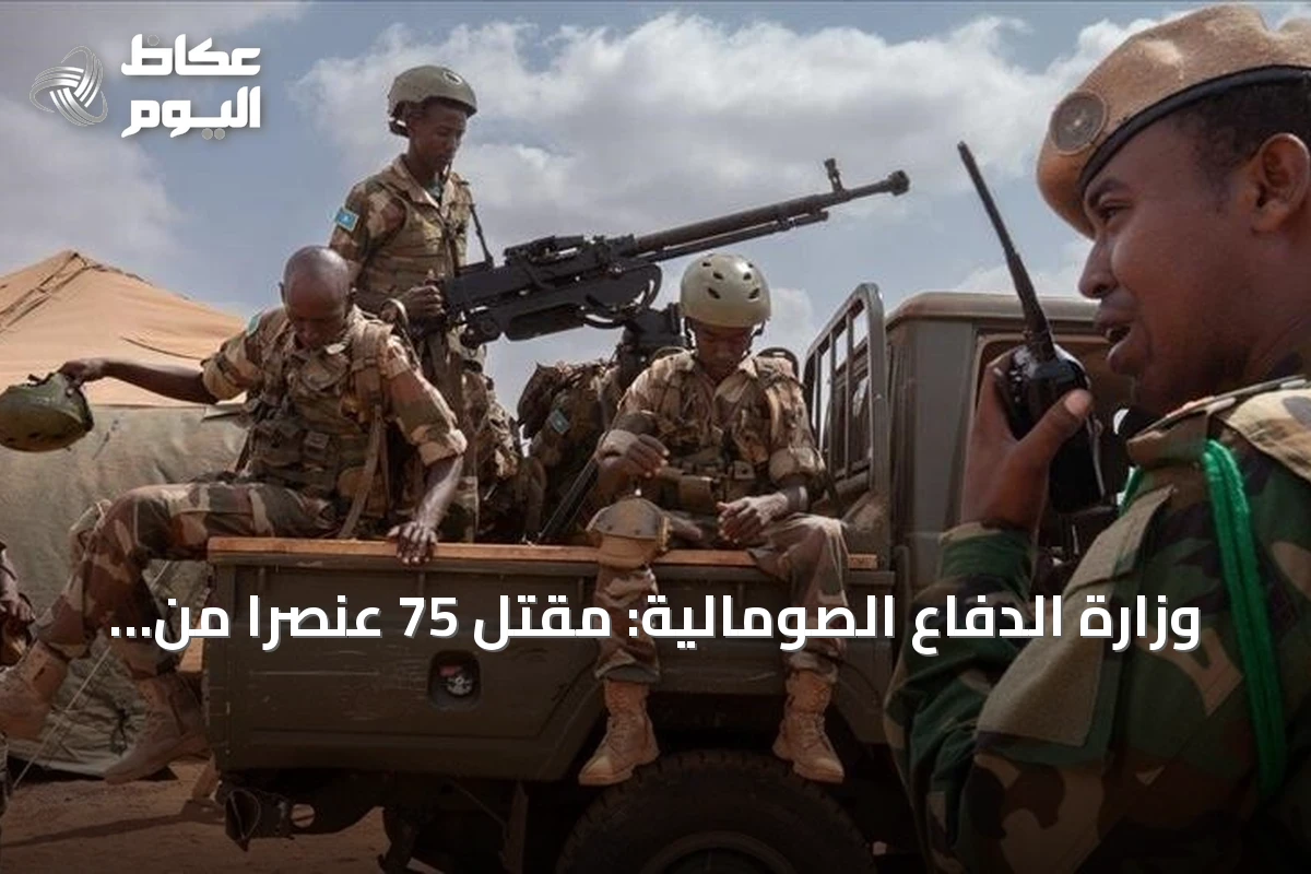 وزارة الدفاع الصومالية: مقتل 75 عنصراً من حركة الشباب في إقليم باي