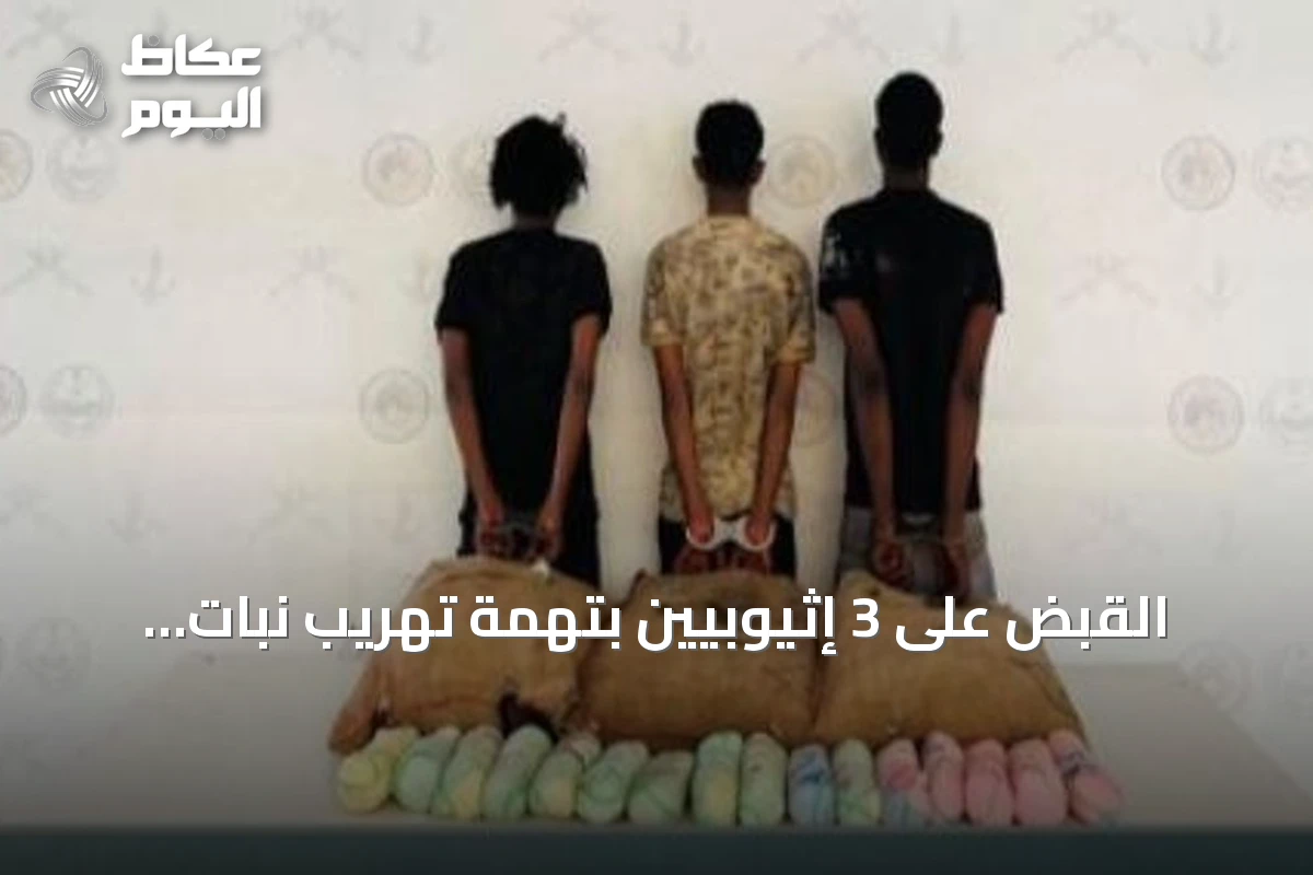 القبض على 3 إثيوبيين بتهمة تهريب نبات القات المخدر في عسير