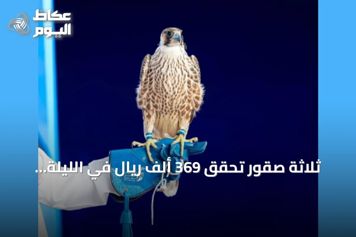 ثلاثة صقور تحقق 369 ألف ريال في الليلة العاشرة من مزاد الصقور 2026